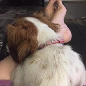 Meet your Posher, Janette